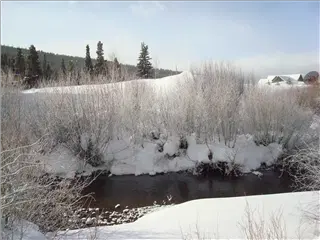 small_Breck2008 012.webp